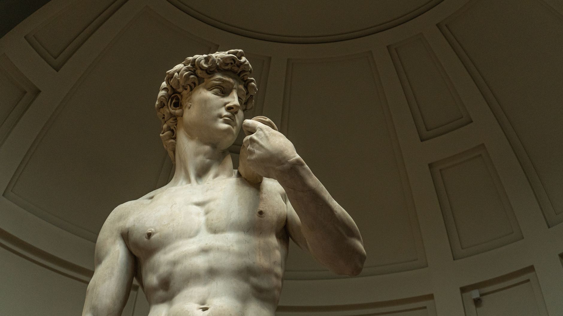 Davidstatyn i Galleria dell'Accademia sedd uppifrån